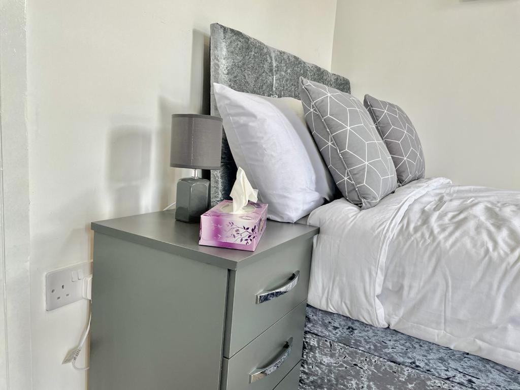 Cheerful 1 Bed Apartment Cardiff City Centre - Penarth Rd Phòng bức ảnh